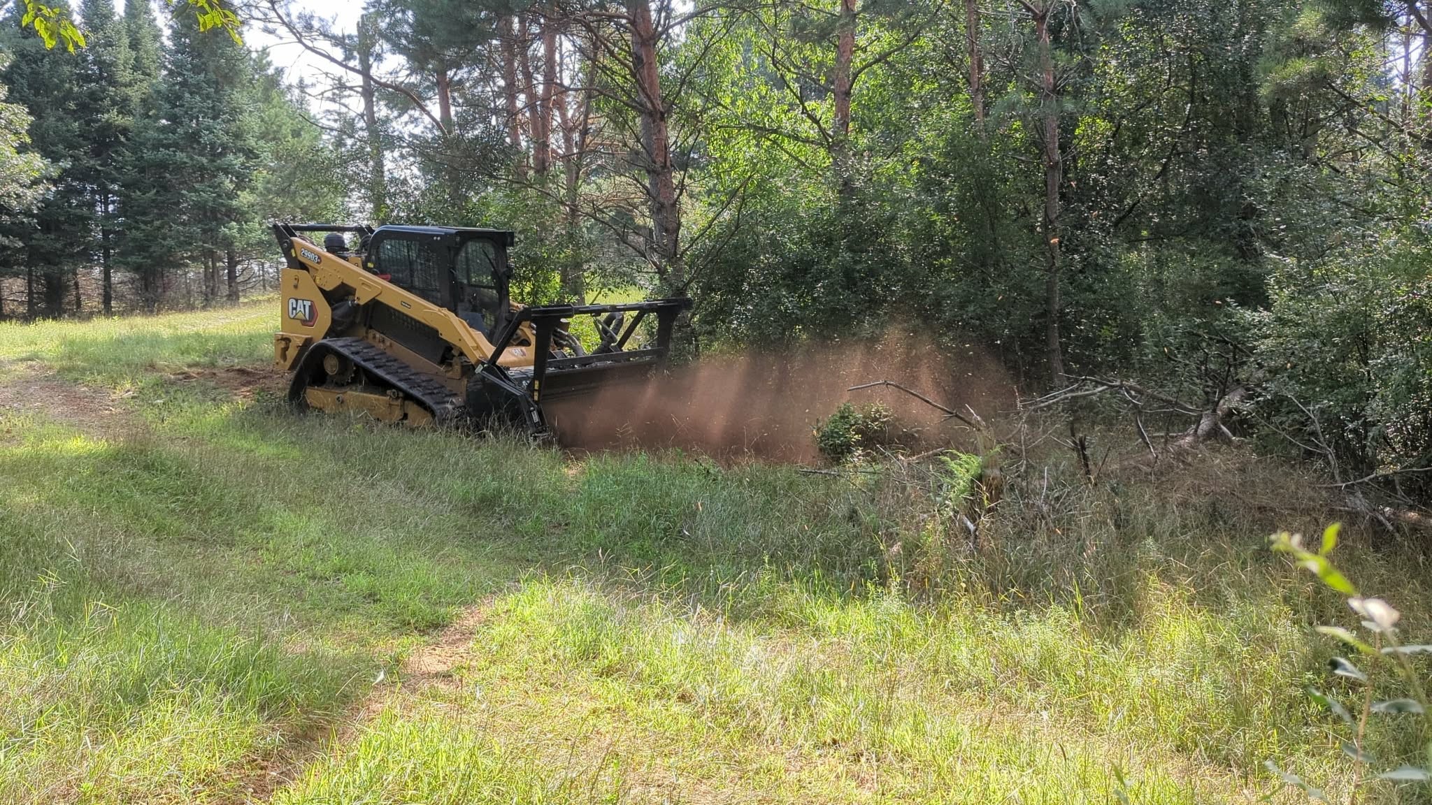 mulching2.jpg